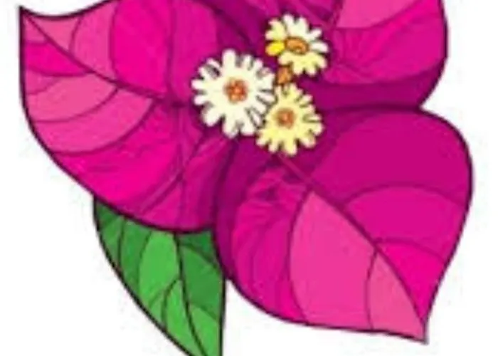 Apartman La Bouganville