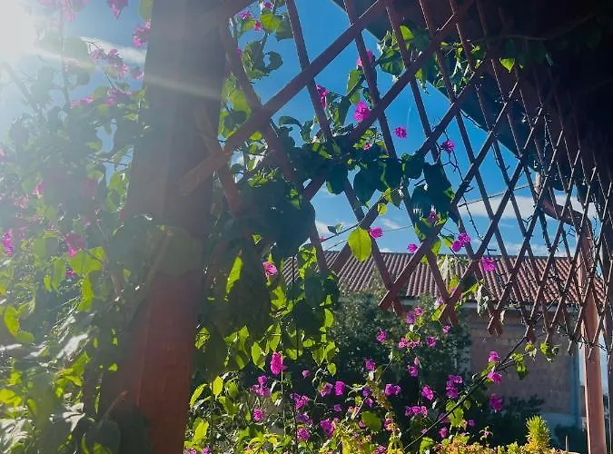 Appartement La Bouganville Spoltore